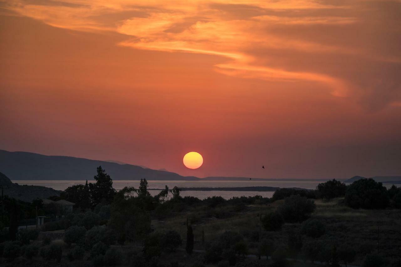 Alexander Villa Πέρδικα Εξωτερικό φωτογραφία
